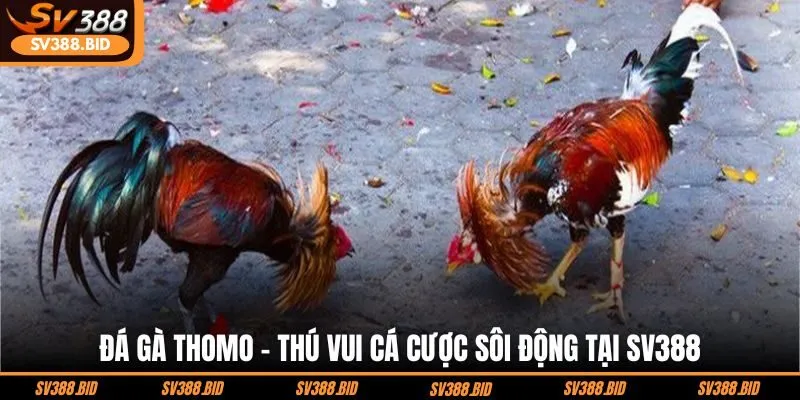 da-ga-thomo